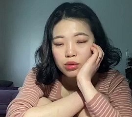 Koreaans