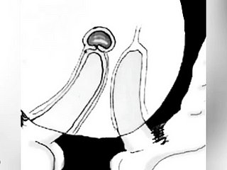 Eu gozo na sua bunda para não engravidar - Comic Boru Sumi