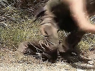 Sex Hand-to-hand encounter Crimes (1995)