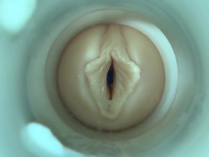 SQUIRT! سہ پر کیمرے آدمی کی طرف سے