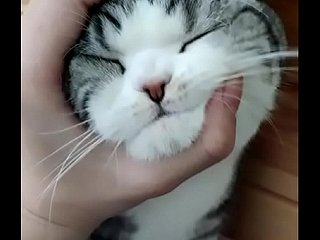 Va bene, va bene