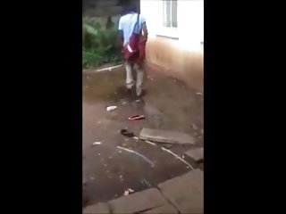 mulheres africanas surpreendido com seu galo