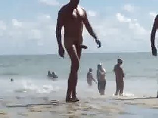 كبيرة ديك