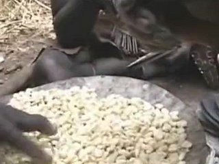 في سن المراهقة الآسيوية قرنية في أفريقيا!