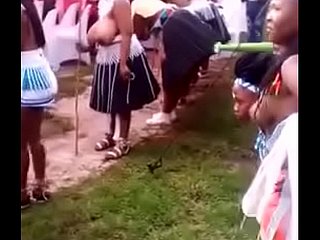 نساء القبائل في جنوب أفريقيا ضخمة الثدي
